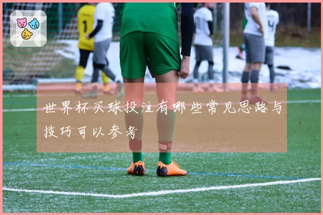 世界杯买球投注有哪些常见思路与技巧可以参考