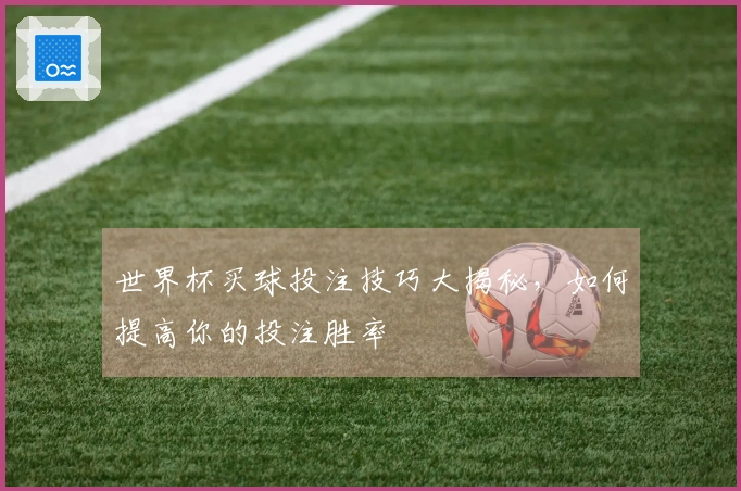 世界杯买球投注技巧大揭秘，如何提高你的投注胜率
