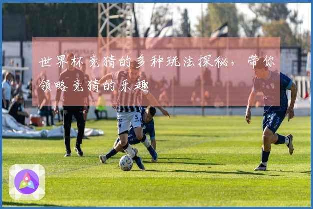 世界杯竞猜的多种玩法探秘，带你领略竞猜的乐趣