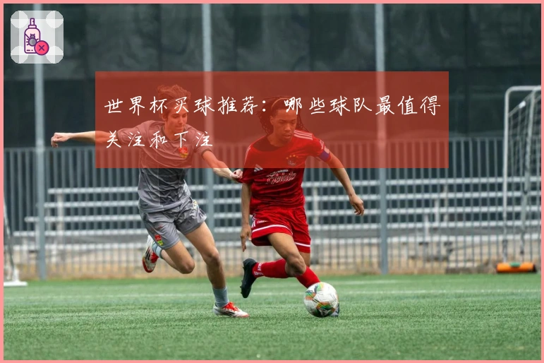 世界杯买球推荐：哪些球队最值得关注和下注