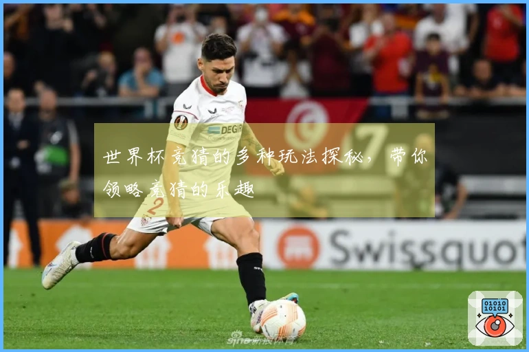 世界杯竞猜的多种玩法探秘，带你领略竞猜的乐趣