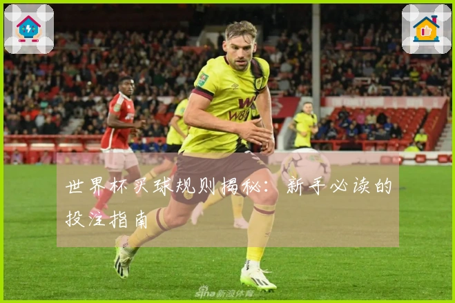 世界杯买球规则揭秘：新手必读的投注指南