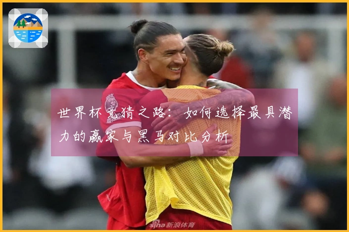 世界杯竞猜之路：如何选择最具潜力的赢家与黑马对比分析