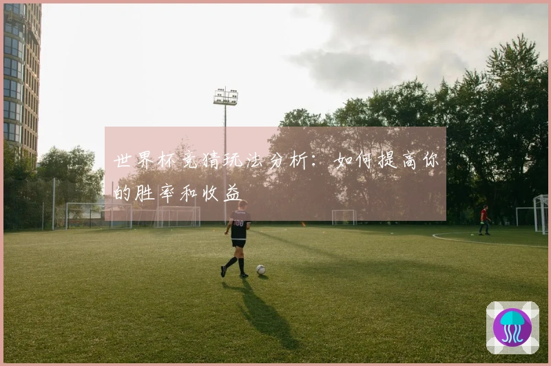 世界杯竞猜玩法分析：如何提高你的胜率和收益