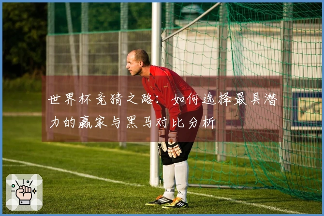 世界杯竞猜之路：如何选择最具潜力的赢家与黑马对比分析