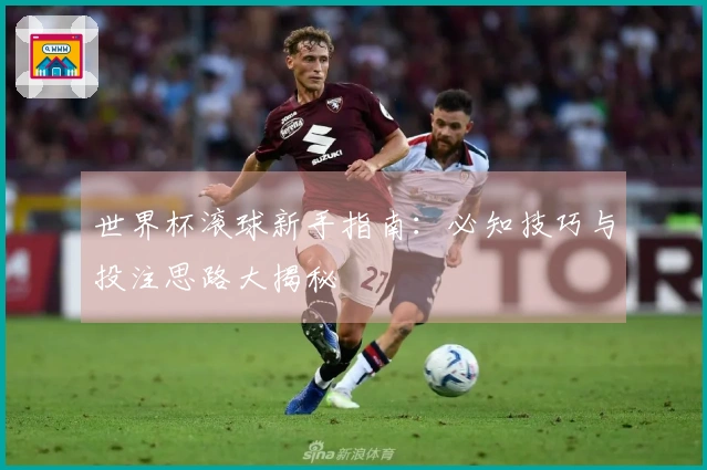 世界杯滚球新手指南：必知技巧与投注思路大揭秘