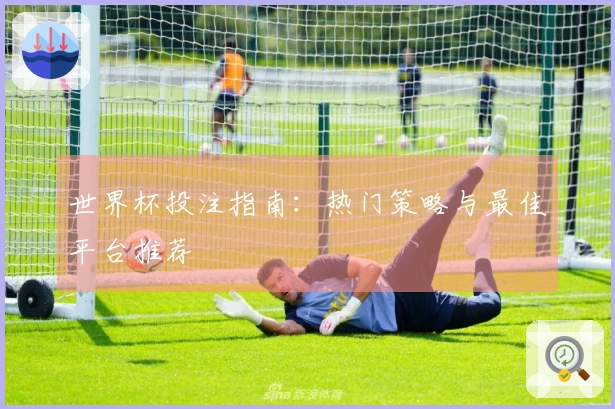 世界杯投注指南：热门策略与最佳平台推荐