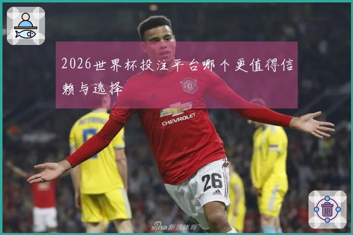 2026世界杯投注平台哪个更值得信赖与选择