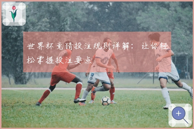 世界杯竞猜投注规则详解：让你轻松掌握投注要点