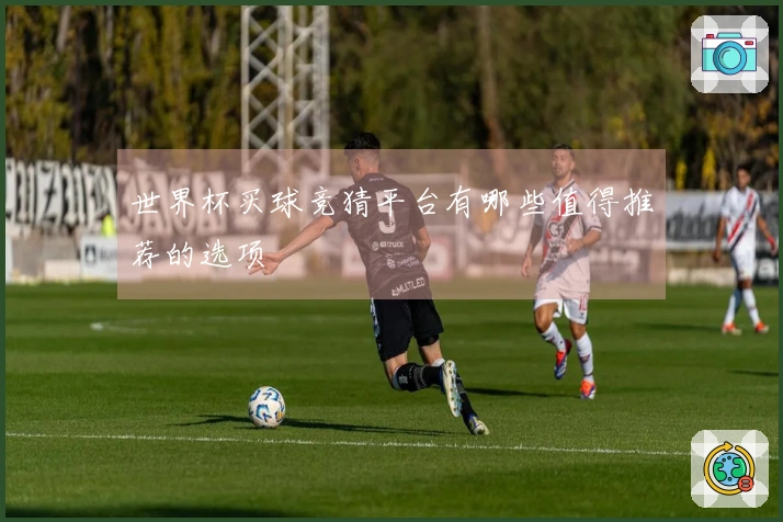 世界杯买球竞猜平台有哪些值得推荐的选项