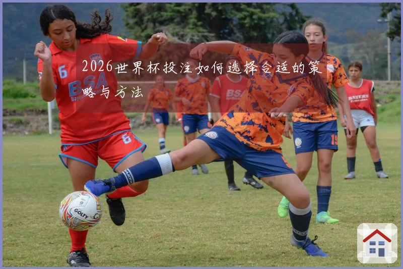 2026世界杯投注如何选择合适的策略与方法