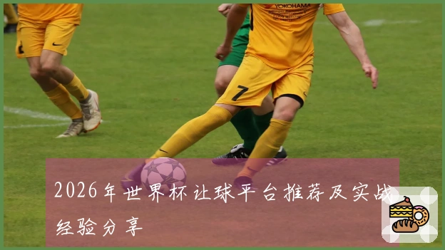 2026年世界杯让球平台推荐及实战经验分享