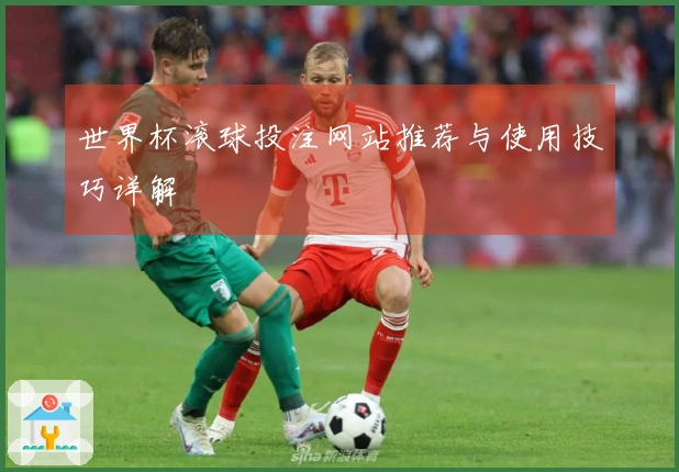 世界杯滚球投注网站推荐与使用技巧详解