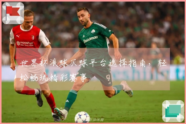 世界杯滚球买球平台选择指南，轻松畅玩精彩赛事