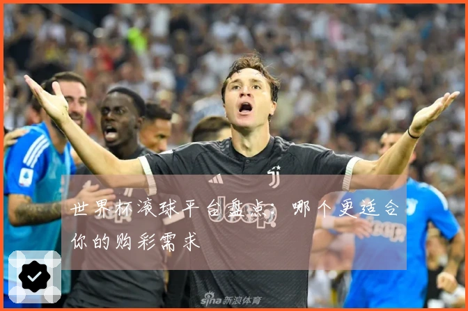 世界杯滚球平台盘点：哪个更适合你的购彩需求