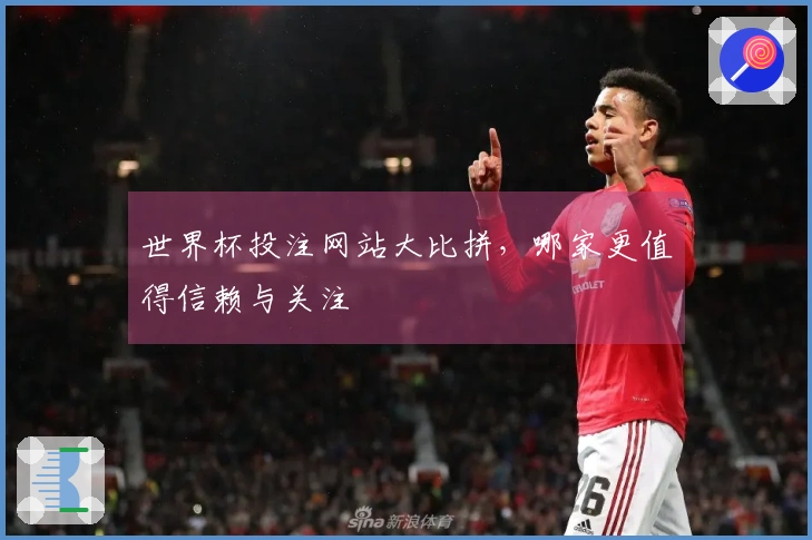 世界杯投注网站大比拼，哪家更值得信赖与关注